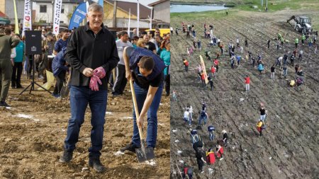 Hubert Thuma continua maratonul impaduririi: 8.500 de puieti <span style='background:#EDF514'>PLANTAT</span>i