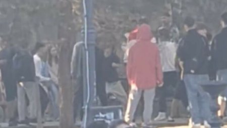 Ancheta a politistilor, dupa ce doua persoane s-au batut intr-un parc din Constanta | VIDEO