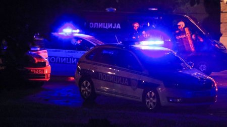 Un complice in cazul de omor caruia i-a cazut victima Danka, fetita de doi ani din Serbia, si-a gasit sfarsitul dupa <span style='background:#EDF514'>GRATII</span>