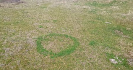 Cerc misterios in iarba, descoperit de un ghid montan din Buzau. Explicatia stiintifica