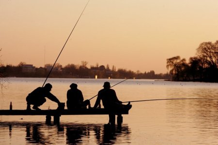 A inceput prohibitia generala a pescuitului in Romania. Cat timp va dura