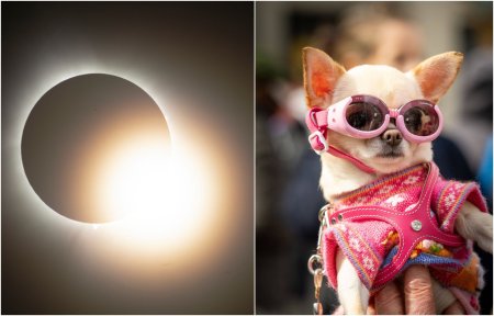 Cele mai spectaculoase 13 imagini cu eclipsa totala de Soare care a fost vizibila in America de Nord