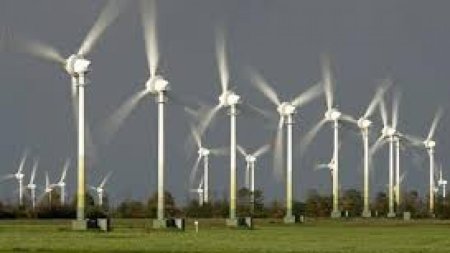 Burduja: Romania a intrat in linie dreapta catre productia de energie eoliana in largul Marii Negre