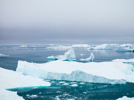 Vara nu vom mai avea Oceanul Inghetat la Polul Nord.  Avertismentul unui climatolog roman despre ce ne asteapta dupa anul 2050