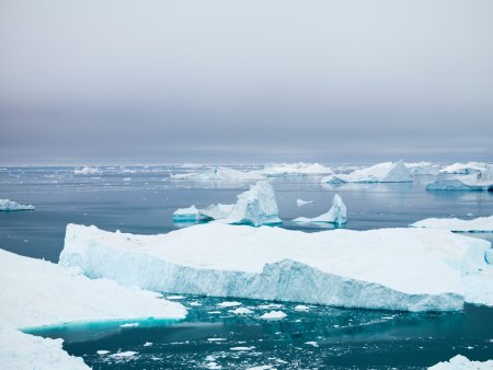 Vara nu vom mai avea Oceanul Inghetat la <span style='background:#EDF514'>POLUL</span> Nord.  Avertismentul unui climatolog roman despre ce ne asteapta dupa anul 2050