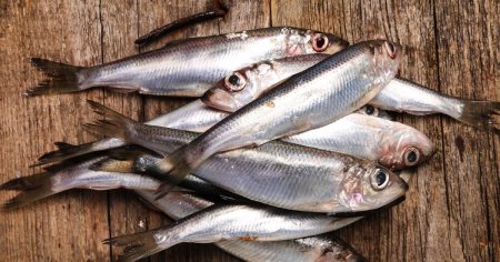 Inlocuirea carnii rosii cu hering, sardine si hamsii ar putea salva 750.000 de vieti pe an, arata un studiu