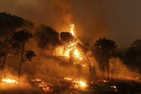Incendiile de <span style='background:#EDF514'>VEGETA</span>tie din Europa au distrus anul trecut o suprafata de doua ori mai mare decat Luxemburgul