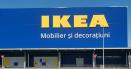 Green<span style='background:#EDF514'>PEACE</span> acuza IKEA de distrugerea padurilor din Romania