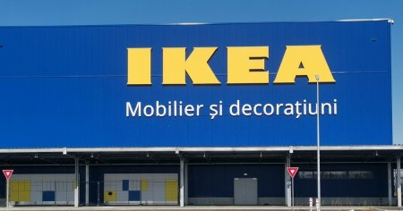 Green<span style='background:#EDF514'>PEACE</span> acuza IKEA de distrugerea padurilor din Romania