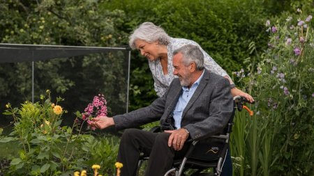 Noua lege a pensiilor redefineste gradele de invaliditate. Guvernul aduce modificari