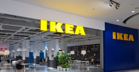 Acuzatii grave aduse companiei IKEA. Greenpeace sustine ca retailerul suedez dist<span style='background:#EDF514'>RUGE</span> padurile Romaniei