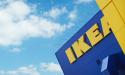 Greenpeace acuza retailerul <span style='background:#EDF514'>IKEA</span> ca este implicat in distrugerea padurilor din Romania