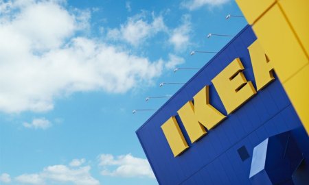 Greenpeace acuza retailerul IKEA ca este implicat in dist<span style='background:#EDF514'>RUGE</span>rea padurilor din Romania