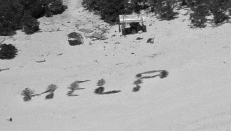 Au fost salvati pe o insula pustie dupa ce au scris pe plaja <span style='background:#EDF514'>HELP</span> folosind frunze de palmier