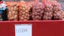 Au aparut <span style='background:#EDF514'>PRIMII</span> cartofi noi romanesti. Pretul urias cu care se vinde un kilogram in piete