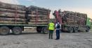 <span style='background:#EDF514'>MAFIA</span> lemnului in padurile Moldovei. Un TIR si o mare cantitate de cherestea au fost confiscate