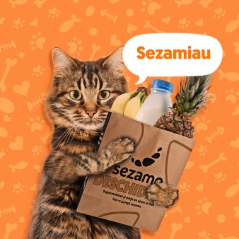 <span style='background:#EDF514'>SUPERMARKETUL</span> online Sezamo a extins categoria pet shop cu mai multe produse pentru pisici: Am crescut sortimentatia pentru pisici cu 30%