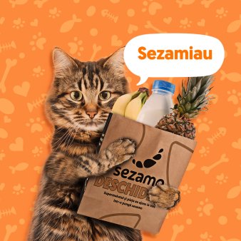 Supermarketul online Sezamo a extins categoria pet <span style='background:#EDF514'>SHOP</span> cu mai multe produse pentru pisici: Am crescut sortimentatia pentru pisici cu 30%