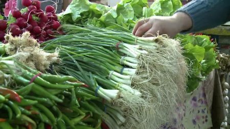 Reziduuri de pesticide peste limitele maxime admise au fost descoperite in verdeturile de sezon