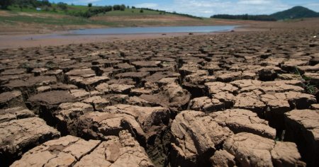 Situatie ingrijoratoare cauzata de seceta extrema: nivelul Dunarii a scazut. Au disparut si pestii din apa