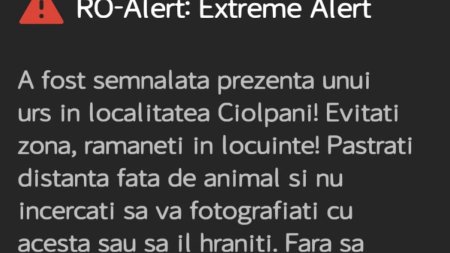 Mesaj RO-Alert in <span style='background:#EDF514'>CIOLPANI</span> si Snagov! Locuitorii de langa Bucuresti au fost avertizati privind prezenta unui urs in zona