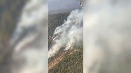 Cinci hectare de padure au luat foc in Muntii Gurghiului. Pompierii s-au luptat ore in sir cu flacarile