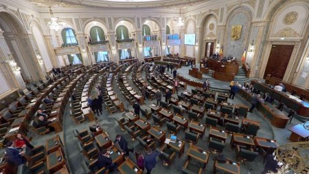 Senatul a votat in unanimitate proiectul fugarul plateste