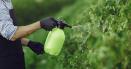 Rolul esential al adjuvantilor in optimizarea pesticidelor