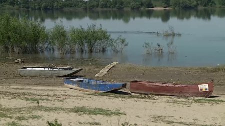 Romania fierbe sub un val de caldura. Au inceput sa moara pestii in lacuri, Dunarea a secat