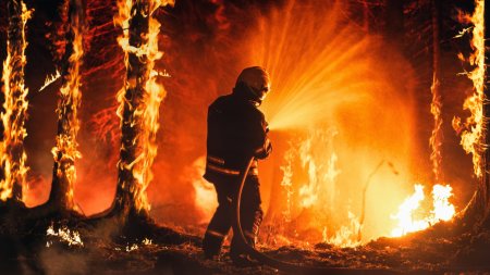 Incendiu puternic la poalele Muntilor Rodnei. Pompierii intervin pentru a stinge flacarile din padure