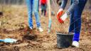 Primarul Capitalei: Plantam 97 de arbori tineri in cadrul proiectului Coroana Verde pentru Regina Elisabeta