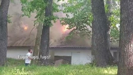 Ce ar fi produs incendiul din parcul Romanescu din Craiova. <span style='background:#EDF514'>ADMINISTRATOR</span>ul terasei spune ca nu are asigurare