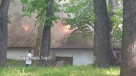 Ce ar fi produs incendiul din parcul Ro<span style='background:#EDF514'>MANESCU</span> din Craiova. Administratorul terasei spune ca nu are asigurare