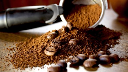 Cafeaua ta de dimineata poate avea mai mult de jumatate de milion de an. <span style='background:#EDF514'>STUDIU</span>l care schimba tot ce stiam
