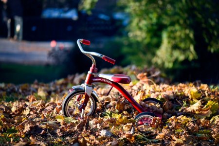 Bicicleta cu echilibru sau tricicleta  -  pe care sa o alegi pentru dezvoltarea copilului tau?