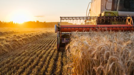 Afaceri agricole profitabile: De la idee la realitate