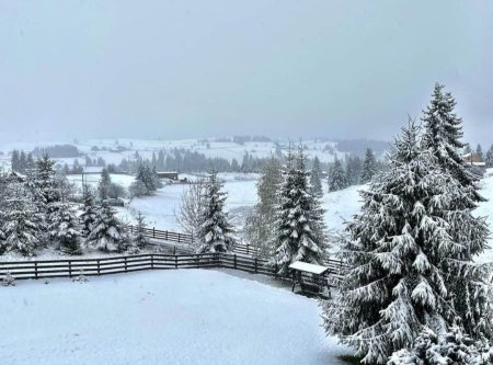 Iarna s-a intors in Romania: zapada in mai multe zone ale tarii. Ce se anunta in continuare