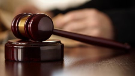 CSM amana decizia in cazul suspendarii judecatoarei din dosarul lui Vlad Pascu