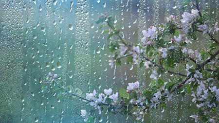 Vremea azi, 18 aprilie. Continua sa ploua in cea mai mare parte a tarii, iar temperaturile scad sub valorile normale