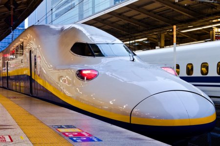 <span style='background:#EDF514'>INTARZIERE</span> nebuna pe calea ferata din Japonia! Un sarpe a dat totul peste cap
