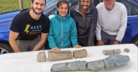 O fetita de 11 ani a <span style='background:#EDF514'>GASIT</span> fosilele celei mai mari reptile marine care a existat vreodata. Ce lungime avea creatura