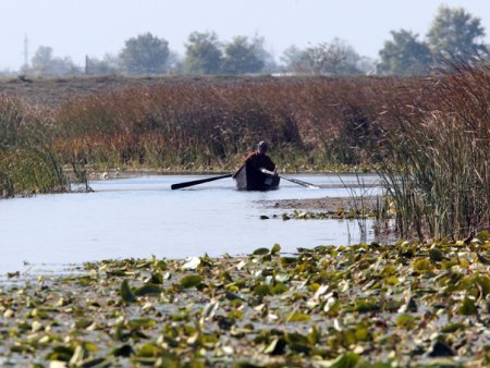 Pregatiri pentru sezonul turistic in Delta Dunarii. Canalele navigabile, curatate de salcii prabusite