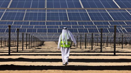 Hidroelectrica extinde afacerile cu arabii de la Masdar