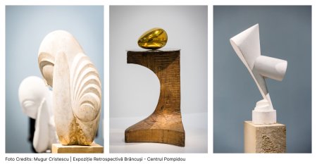 Jidvei, vinul oficial al ver<span style='background:#EDF514'>NISA</span>jului celei mai mari retrospective Brancusi de la Paris