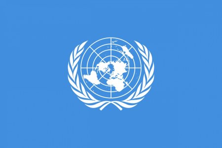 SUA blocheaza rezolutia ONU pentru <span style='background:#EDF514'>RECUNOASTERE</span>a Palestinei