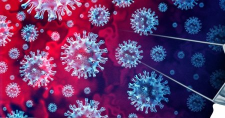 Urmatoarea pandemie va fi probabil provocata de virusul <span style='background:#EDF514'>GRIPA</span>l, atrag atentia oamenii de stiinta