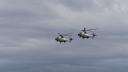 Japonia: doua elicoptere militare japoneze s-au prabusit in cursul unui antrenament