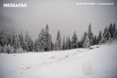 ANM: Ninsoare in Carpatii Meridionali si in Carpatii de Curbura la altitudini de peste 1.500 metri