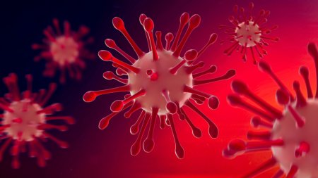 Un caz rar al unui pacient infectat cu <span style='background:#EDF514'>CORONA</span>virus timp de 613 zile, prezentat de cercetatori