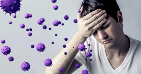 Virusul gripal ar putea fi vinovat pentru urmatoarea pandemie